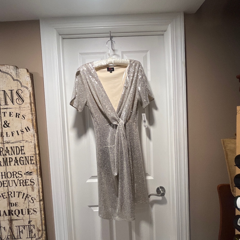 Silver Dress